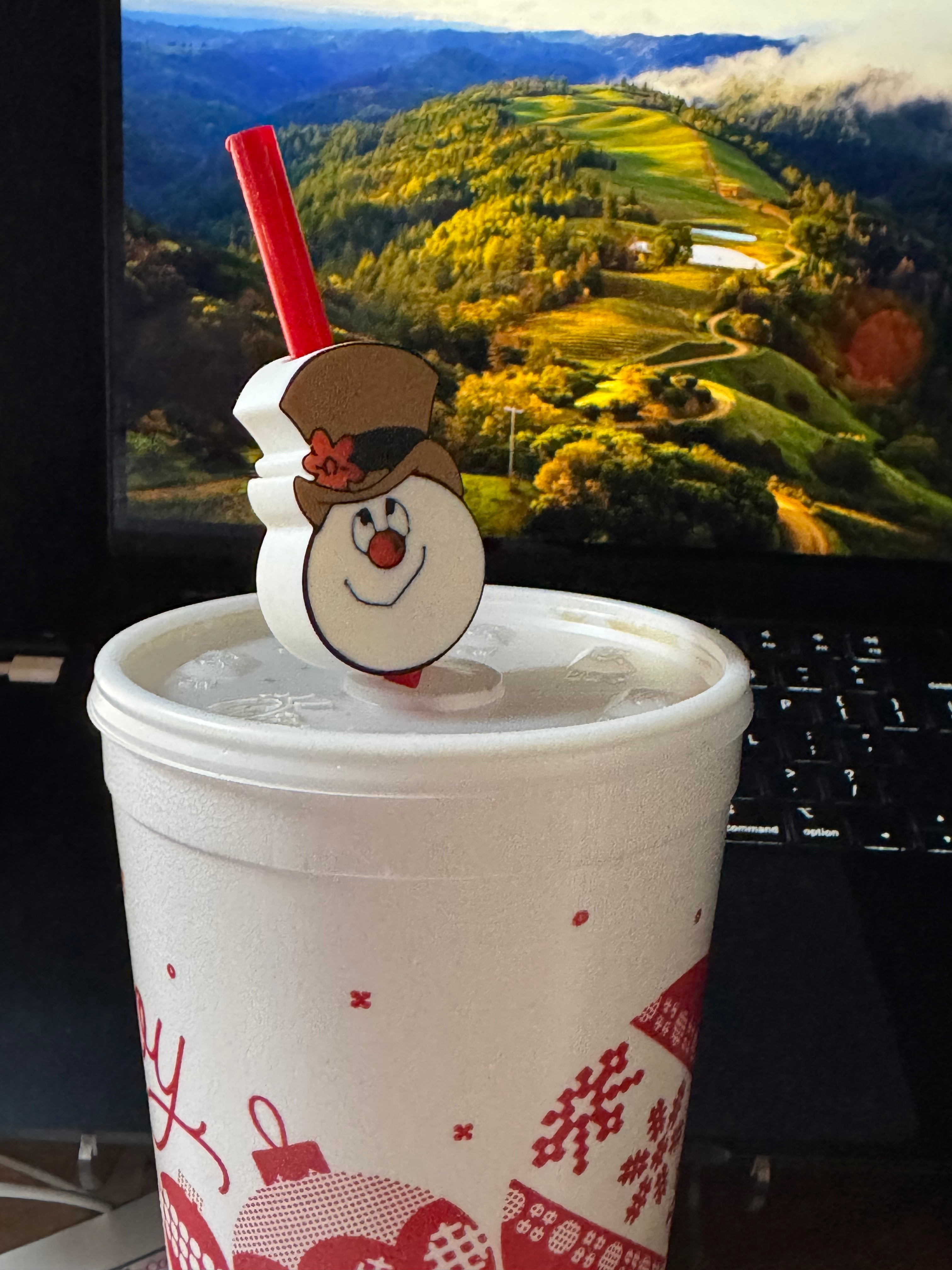 Snowman Straw buddy